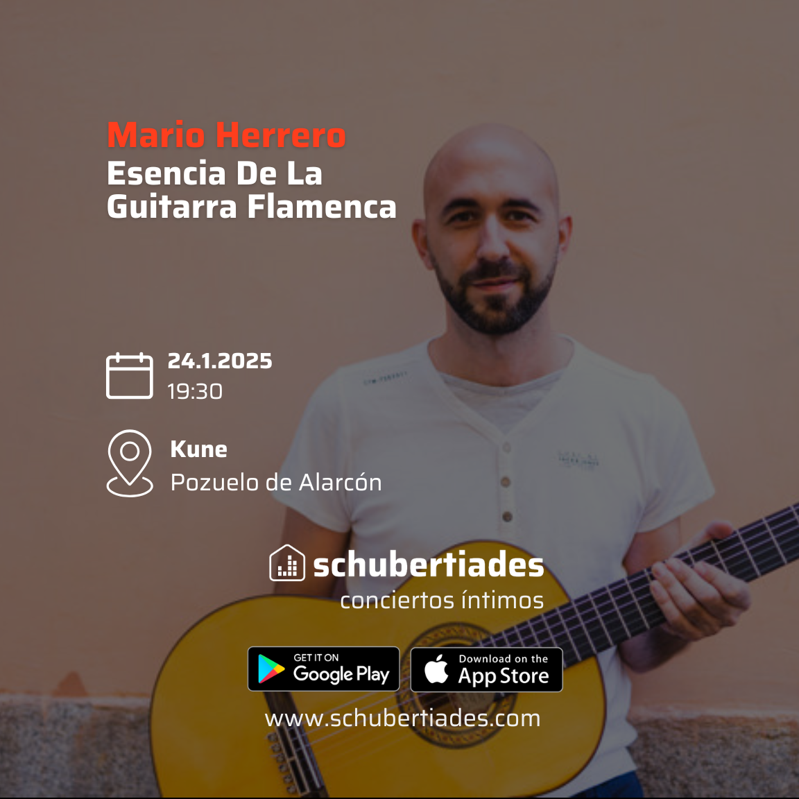 Esencia de la guitarra flamenca. Manuel Herreros